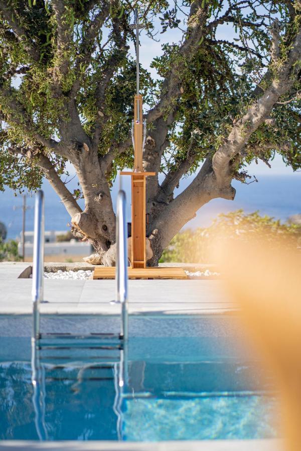 Villa Santa Marina Syros Liaropá Exterior foto
